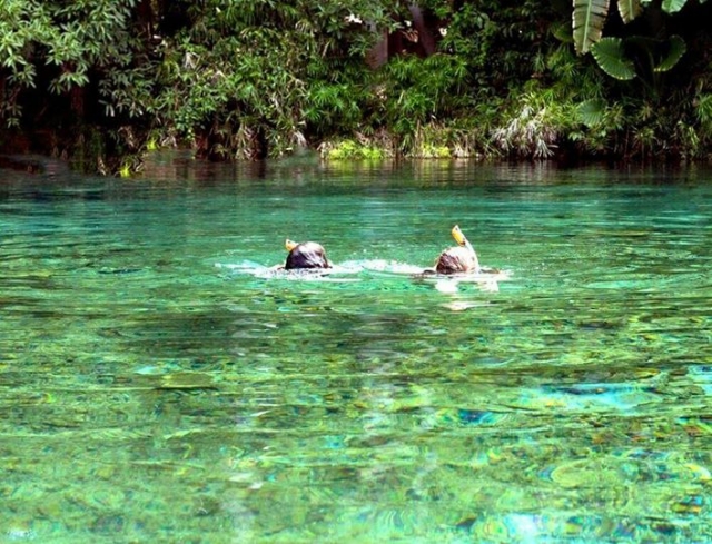 snorkel en cenotes